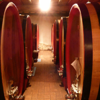 Degustazioni vini Toscana - Maxi Gourmet  Wine Tour