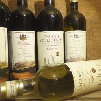 Degustazioni Vini a San Gimignano toscana